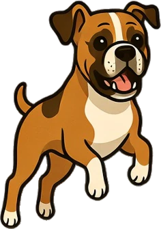 Boxer dog